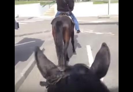 Мак-кони в Пятигорске: видео